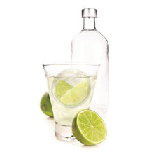 Load image into Gallery viewer, Fruit Infusing Ice Balls (Set of 4)