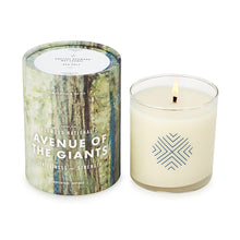Load image into Gallery viewer, Great Outdoors National Park Candles