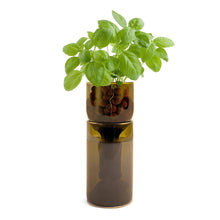Load image into Gallery viewer, Grow Bottle