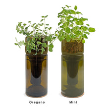 Load image into Gallery viewer, Grow Bottle