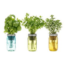 Load image into Gallery viewer, Mason Jar Indoor Herb Garden
