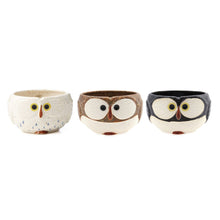 Load image into Gallery viewer, Owl Mug