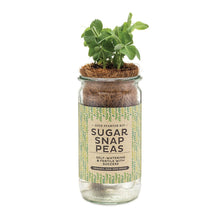 Load image into Gallery viewer, Self-Watering Veggie Kit