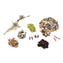 Load image into Gallery viewer, DIY Terrarium Kit