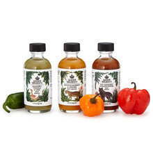 Load image into Gallery viewer, Trio of Travel-Sized Hot Sauces